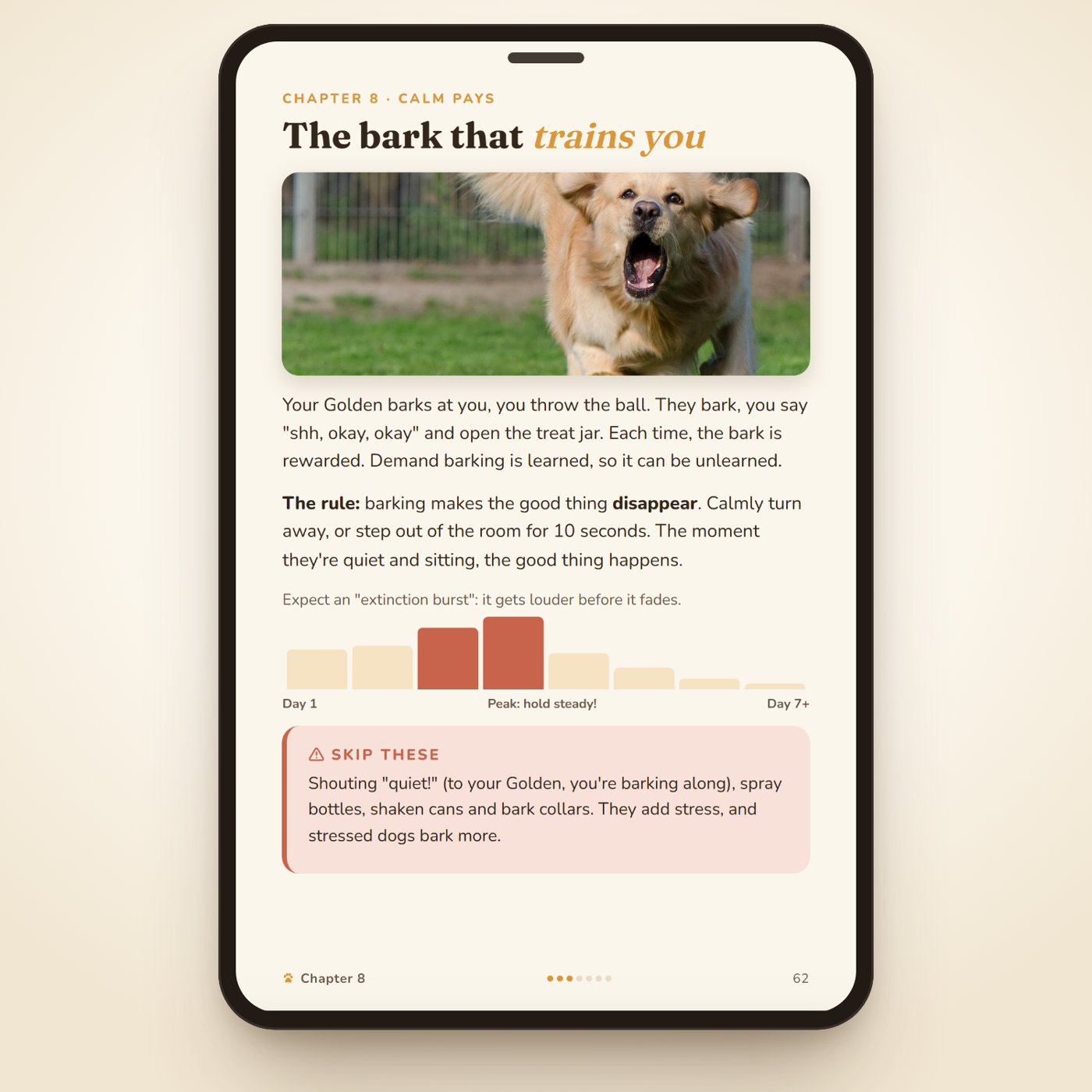 Inside: the bark that trains you